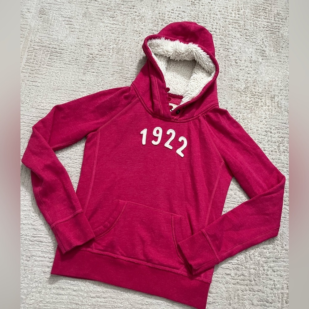 Y2K Hollister Slim Fit Hoodie